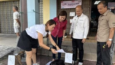 黄诗情：各地方政府与NGO合作   浪爱同行 共享数据