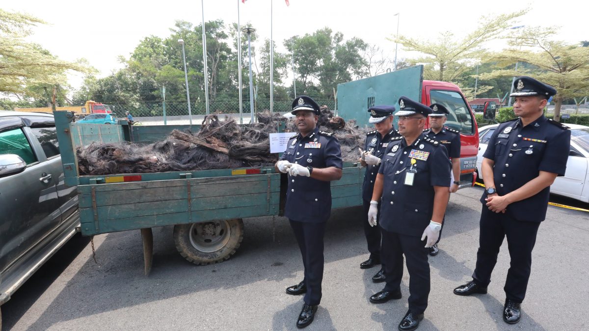 黑警庇护 内鬼支援·偷电缆团伙组织周密 一年获利近700万