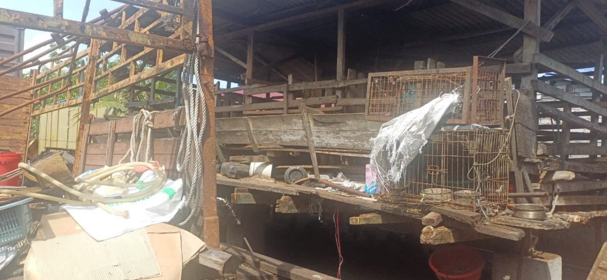 牛羊粪便直冲排水沟,住宅区臭气冲天