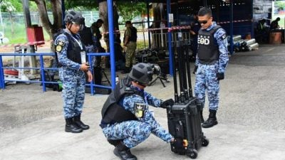 大马皇家空军特别任务小组   管控LIMA流程和安全威胁