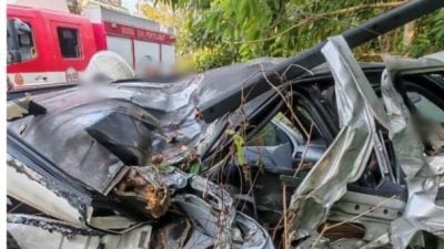 撞停路肩轿车 1死1伤   巴士司机延扣3天