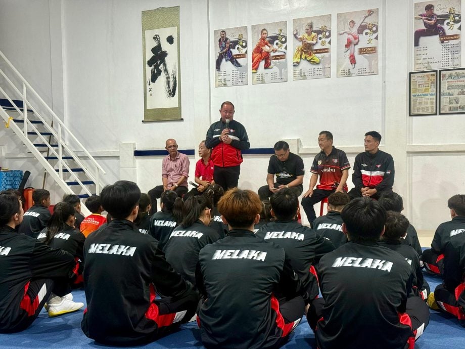 （古城第三版主文）马六甲武术龙狮总会参加第14届全国青少年武术锦标赛