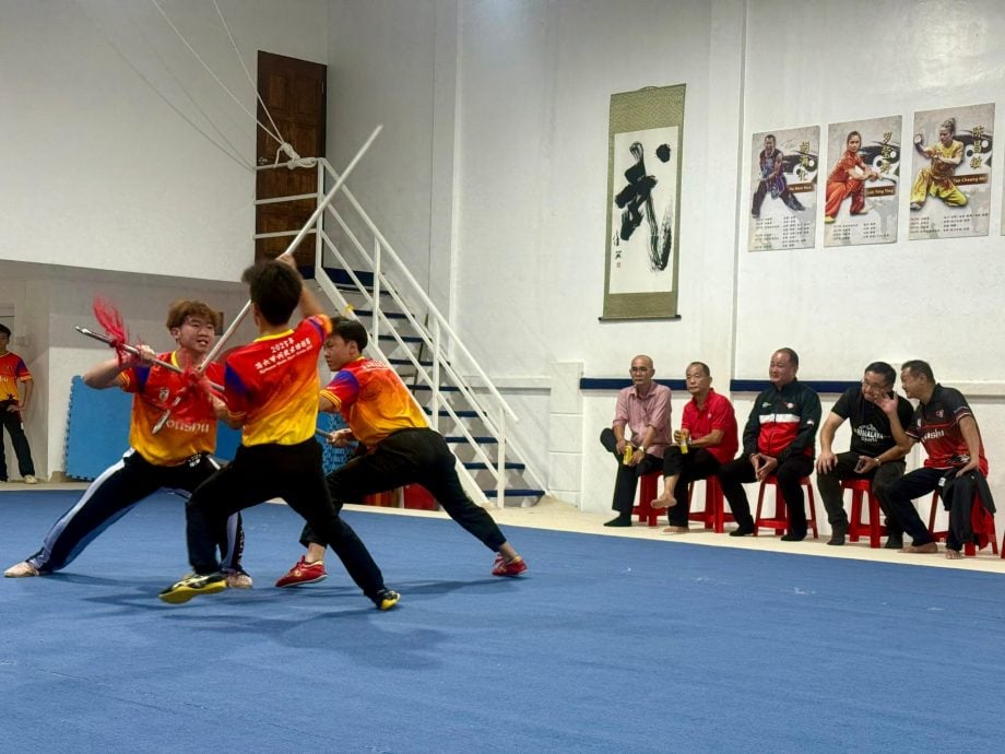 （古城第三版主文）马六甲武术龙狮总会参加第14届全国青少年武术锦标赛