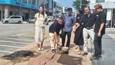 走道破损 大树乌鸦成群   商家建议拆走道建停车位