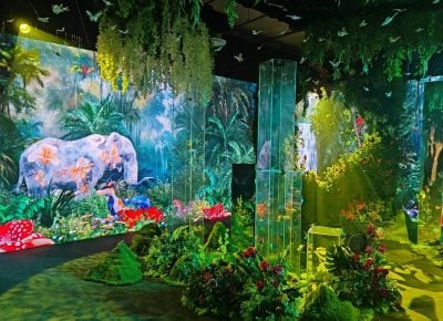 融合艺术与科技　D探索之旅邀你看展