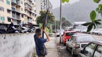 “神枪手”再出动   打枪埔射落118乌鸦