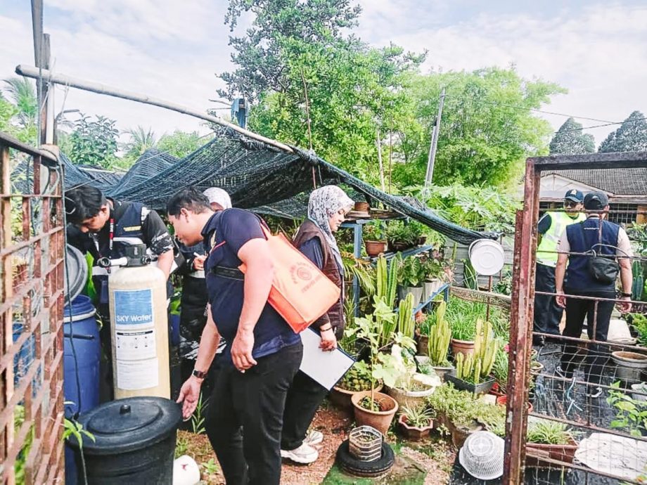 （大北马）住家种植没打理卫生不佳  地方政府依法开罚