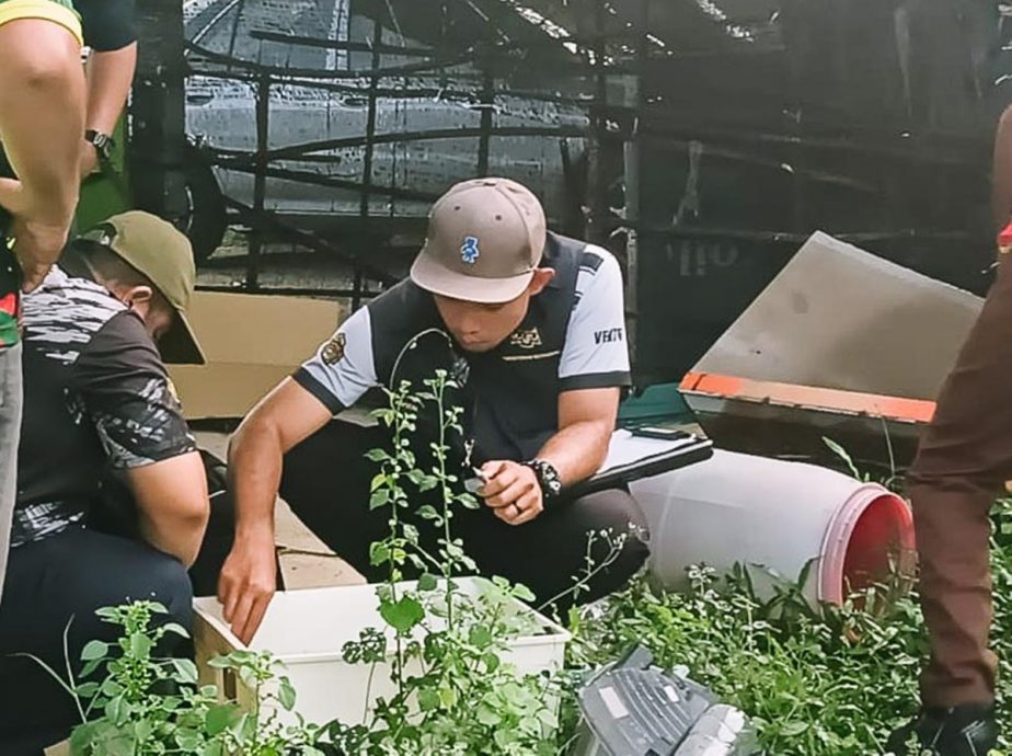 （大北马）住家种植没打理卫生不佳  地方政府依法开罚