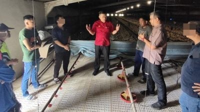 养鸡场卫生处理不当酿蝇灾 苍蝇无孔不入 居民坐困大港尾