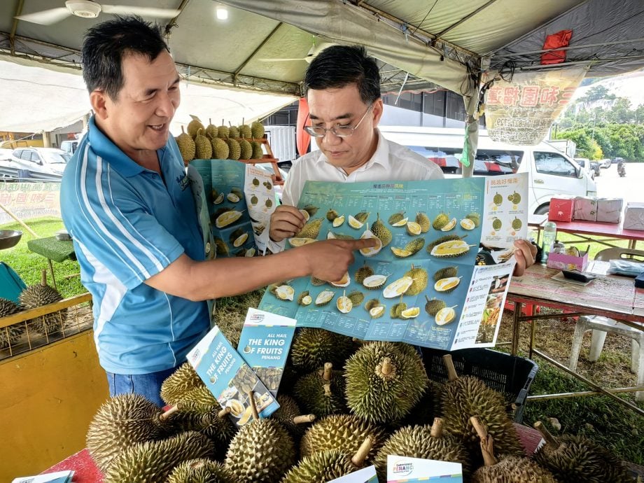 （大北马）新版《槟城万果之王榴梿》手册已推出