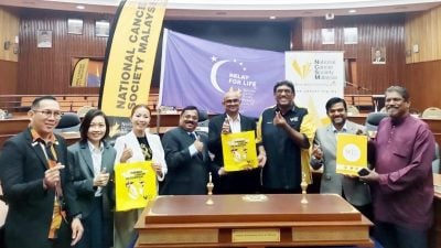 Relay for Life 525市厅公园举办