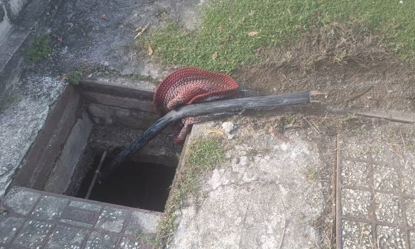 (大北马)樟格敏登发生多宗偷电缆案,集团式分工短时间犯案