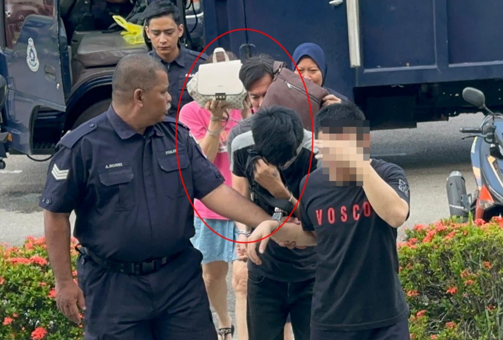 （大北马）洗衣店爆窃集团 3被告面控认罪