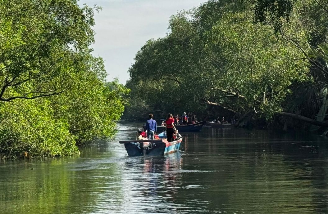 （大北马）清理柔府河2.0 捞出788公斤垃圾