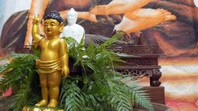 玻佛學會衛塞節花車遊行停辦5年   今年復辦以佛陀故事為主軸