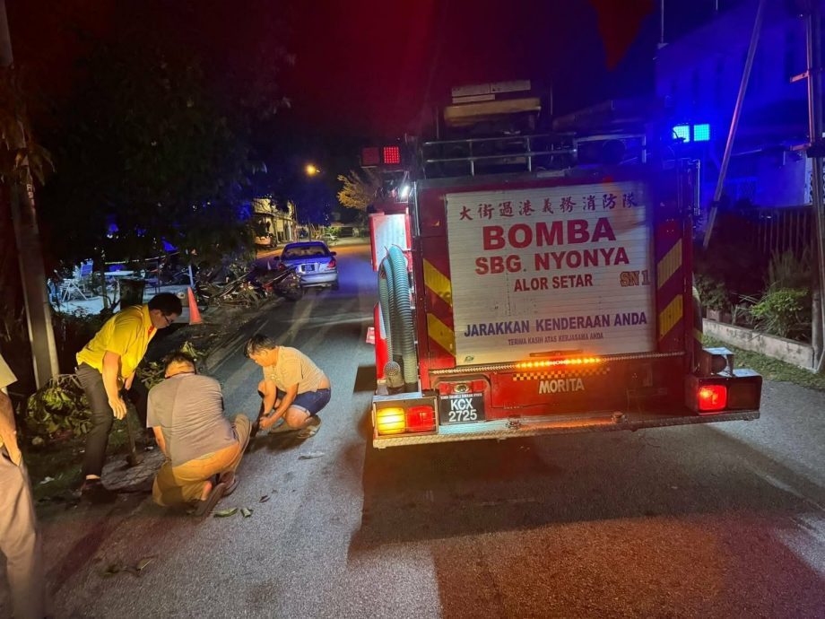 （大北马）盗匪撬开井盖偷电缆留下“马路陷阱”