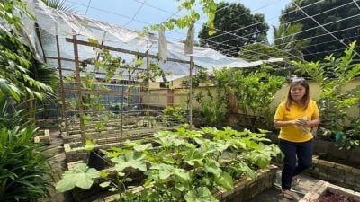 绿量 |藏身双溪槟榔的绿洲　绿色天地 打造社区农园 