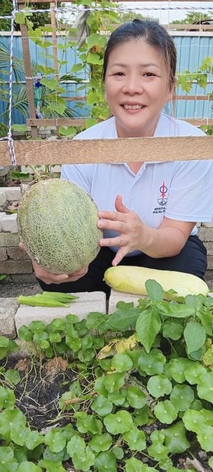 (大北马)绿量-藏身城市里的绿洲 双溪槟榔“绿色天地”打造社区农园新样貌(5月7日档期)