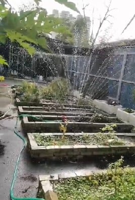 (大北马)绿量-藏身城市里的绿洲 双溪槟榔“绿色天地”打造社区农园新样貌(5月7日档期)