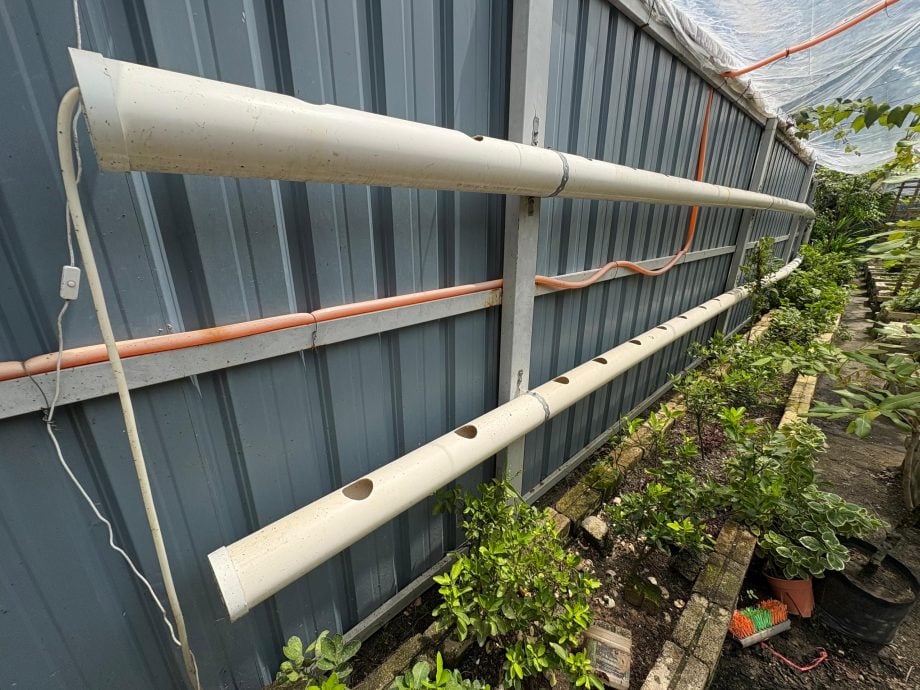 (大北马)绿量-藏身城市里的绿洲 双溪槟榔“绿色天地”打造社区农园新样貌(5月7日档期)