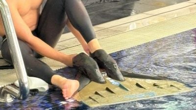 蹼泳运动迅速崛起　槟派10选手征世界杯
