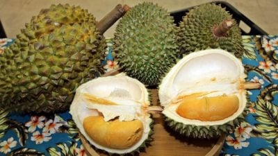 避免與顧客產生誤會 黃漢偉: 榴槤明碼標價