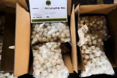 冷冻鱼产品含猪鸡DNA   槟检疫局揭发扣查