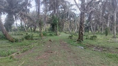 被截停拒查还持刀攻击   印尼男遭警员开枪击毙