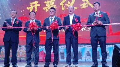 退休年龄提升至65岁   林家仪：势在必行