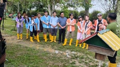 台综艺《饥饿游戏》拉大队   新山古来拍摄3天