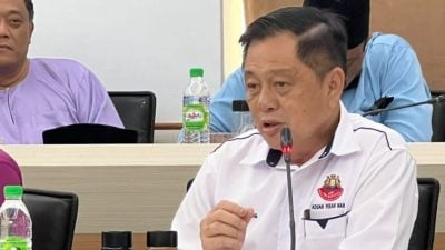 州议会丨陈勇鸣：柔新经济特区不仅惠及圈定地区 北干那那也获外资入驻