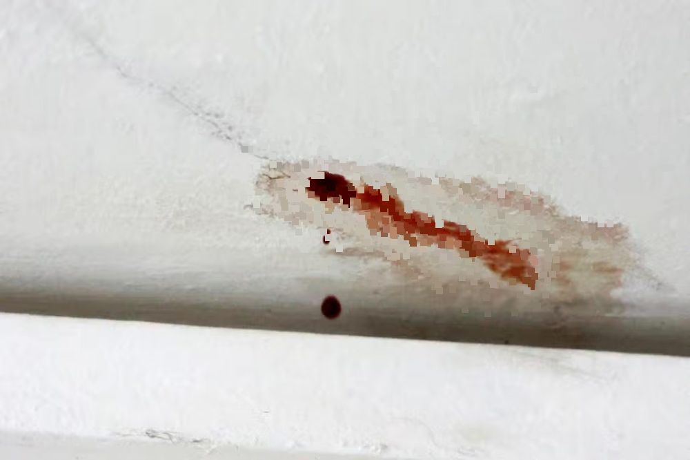 (已签发)柔:狮城二三事:天花板滴血水 揭楼上躺腐尸