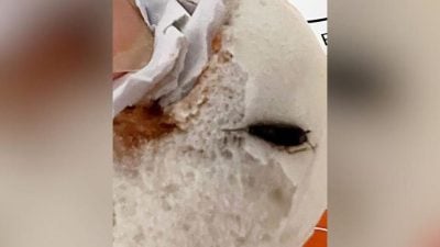 老字号包子有蟑螂   食客投诉恶心