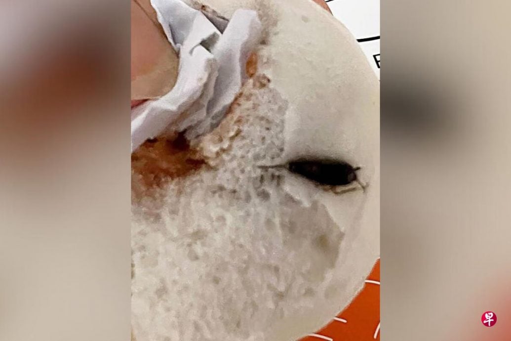 (已签发)柔:狮城二三事:老字号包子有蟑螂 食客投诉恶心