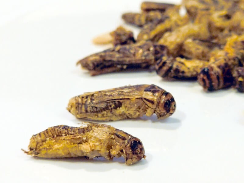 (已签发)柔:狮城二三事:蟋蟀零食狮城超市上架 首5日卖逾500包