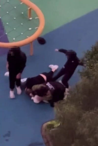 （视频） 华人夫妇悉尼无故遭围殴 七名青少年被警方起诉