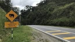 工程部环境部携手  强化道路护野生动物