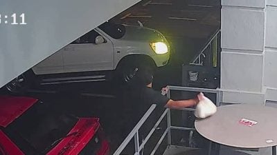 女摊主困惑无奈 男子偷7公斤哥罗面