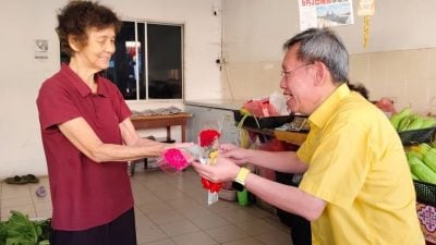 祝妈妈们母亲节快乐  沈桂贤派康乃馨