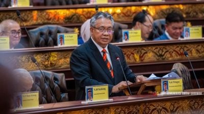 砂議會∕威尔逊建议砂修宪  增加内阁部长人数