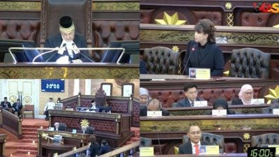 砂议会∕使用冒犯性语言  议长指示杨薇讳收回言论