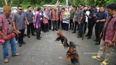 扎希：我甘愿“被逼”赴达雅节庆 砂团结指数 全国第一