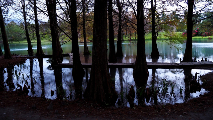 Kim Teoh／看不见的美─花莲 云山水梦幻湖