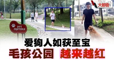 爱狗人如获至宝  毛孩公园 越来越红
