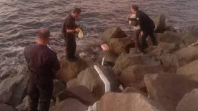 吓到钓客．河口防浪堤惊见浮尸