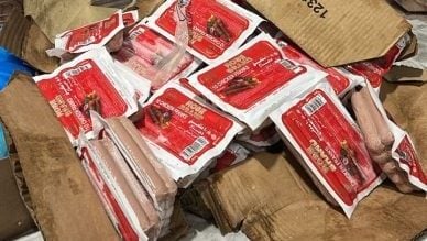 水警“尖牙行动”建功．突击冷冻库起获543万走私冻肉