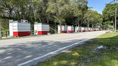 大臣：摊位无人问津  森MyKiosk应另寻地点营业