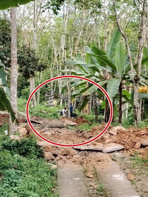 一号码头猫山王非法芭被“霸占”,农民挖路坑阻不明人士进芭