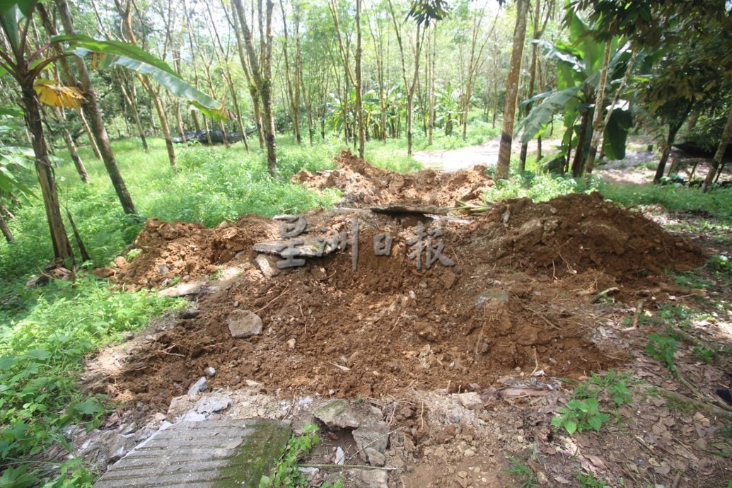 一号码头猫山王非法芭被“霸占”,农民挖路坑阻不明人士进芭