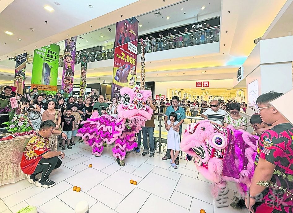 Vivacity旗舰店开业 CINDY Plus酬宾大优惠